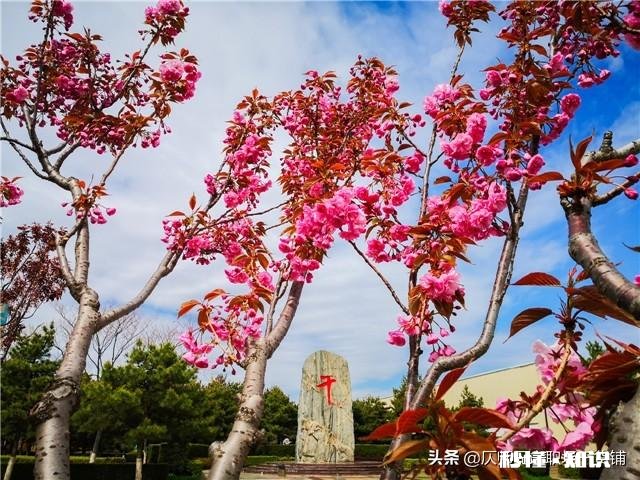 老实一辈子，因工作失误，将被单位通报批评和惩罚，该怎么度日子