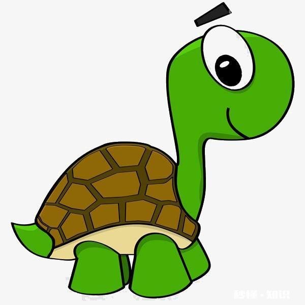 乌龟爬出去找不到了怎么办