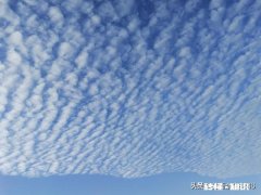 有人说“真正的朋友，一是可随时借钱的，二是可随时打电话的”你认同这句话吗为什么