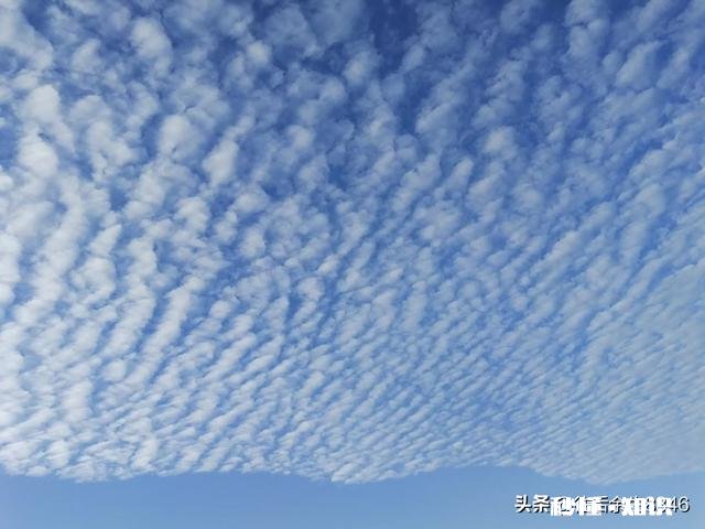 有人说“真正的朋友，一是可随时借钱的，二是可随时打电话的”你认同这句话吗为什么