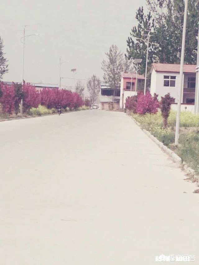 农村路灯是不是由国家拨款安装