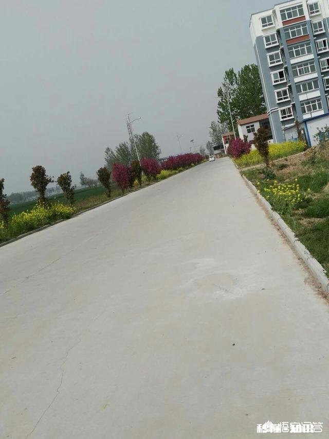 农村路灯是不是由国家拨款安装