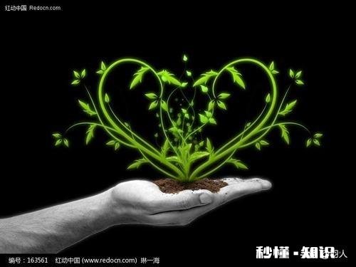 当你遇到人生瓶颈期的时候，是怎样处理和突破的呢