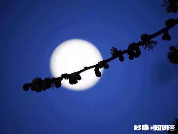 上联，黄鸟数声残午梦。下联怎么对