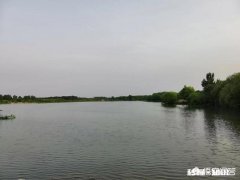 下联，碧纱窗下水沉烟。上联如何对