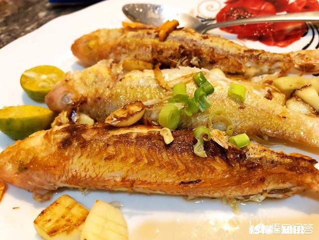 国外游哪个国家吃海鲜便宜