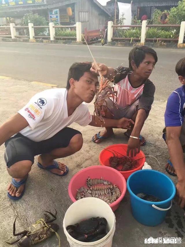 国外游哪个国家吃海鲜便宜