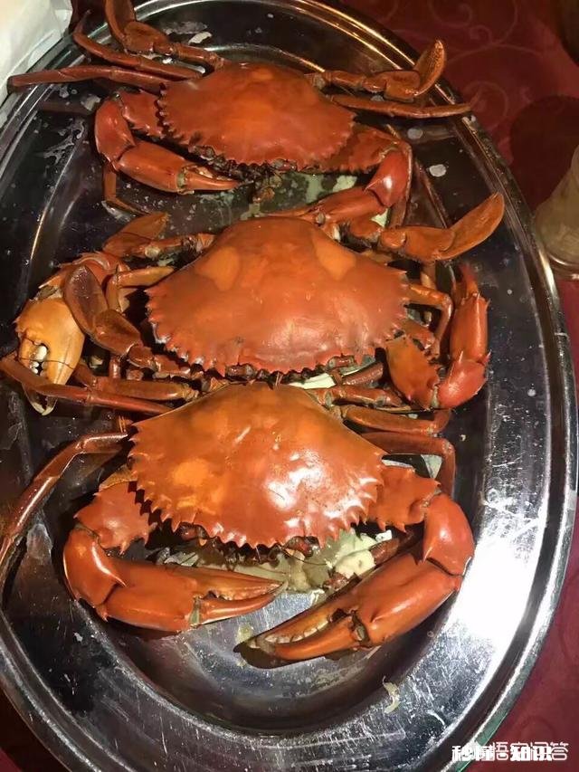 国外游哪个国家吃海鲜便宜