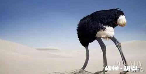 跟老板对话，哪些话不能说