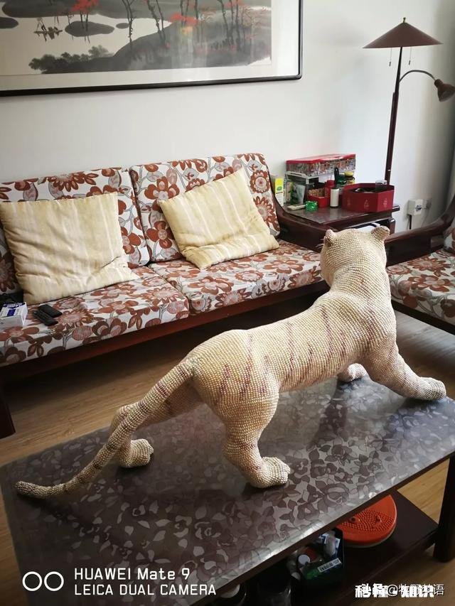 教育转化落后学生，老师和家长应该怎么做