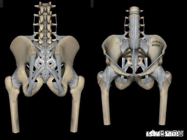 太极里面的“刻刻留意在腰间”是什么意思