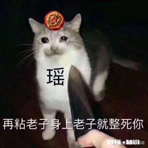 为什么王者荣耀会出瑶这个看起来很无用的英雄