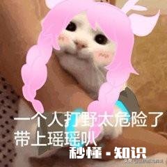 为什么王者荣耀会出瑶这个看起来很无用的英雄