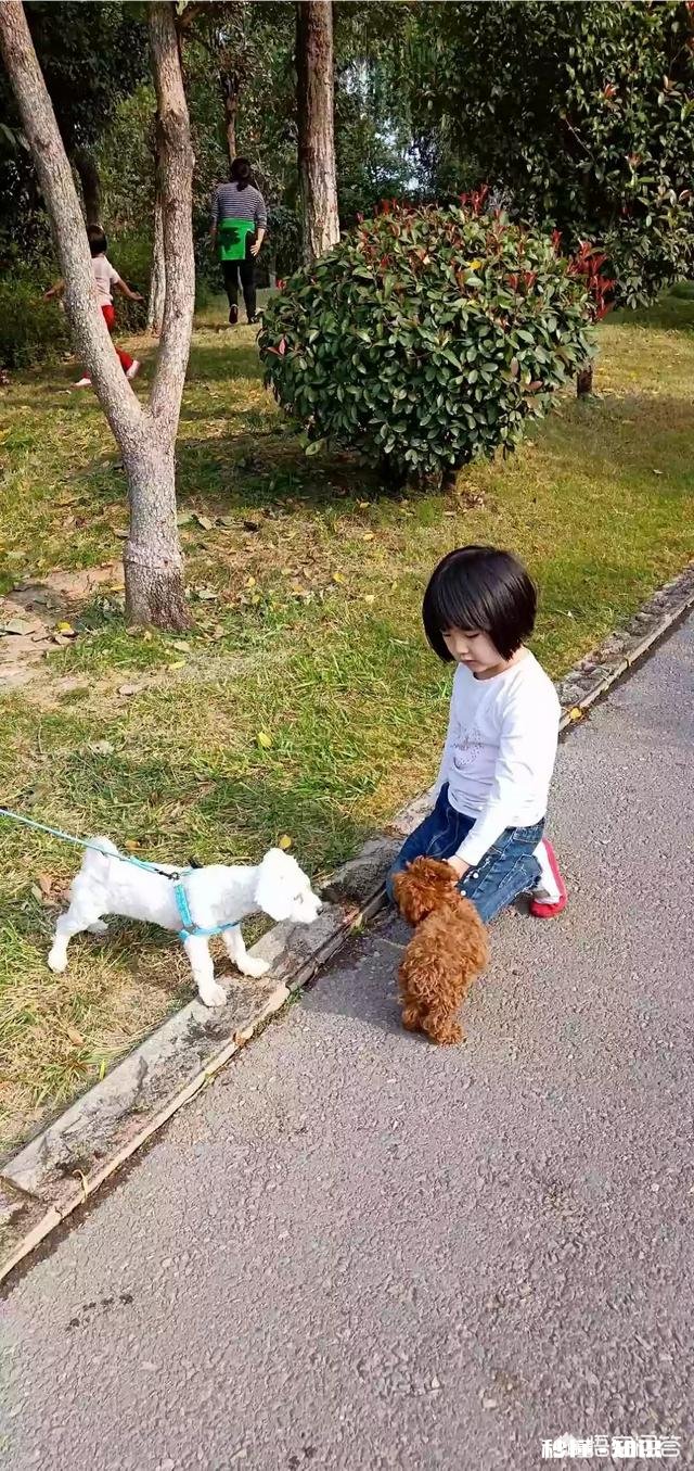 期末考试快到了，怎样出一份高品质的试卷呢