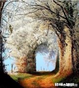 如果能够穿越，女孩最想穿越到什么朝代，想做什么