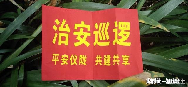 疫情在家期间，大家晚上睡眠质量怎么样