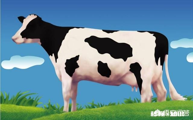 孩子快六岁了，抵抗力不好，吃牛初乳有用吗