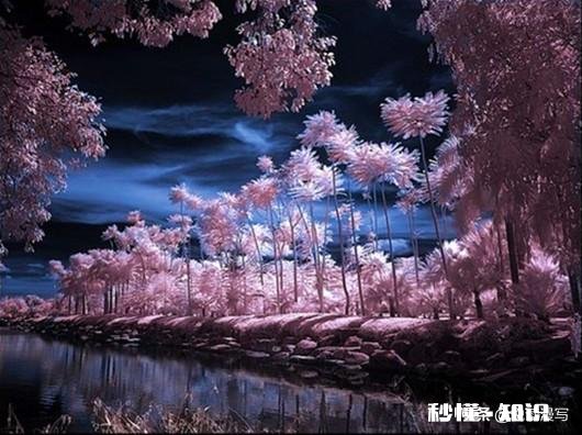 孩子不擅长的方面，要不要鼓励孩子去挑战