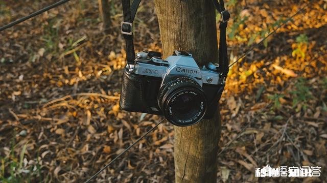 摄影不挣钱，我们该不该放弃摄影呢