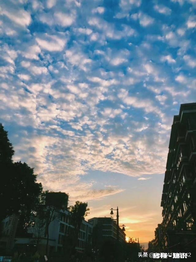 旅游，什么时候恢复