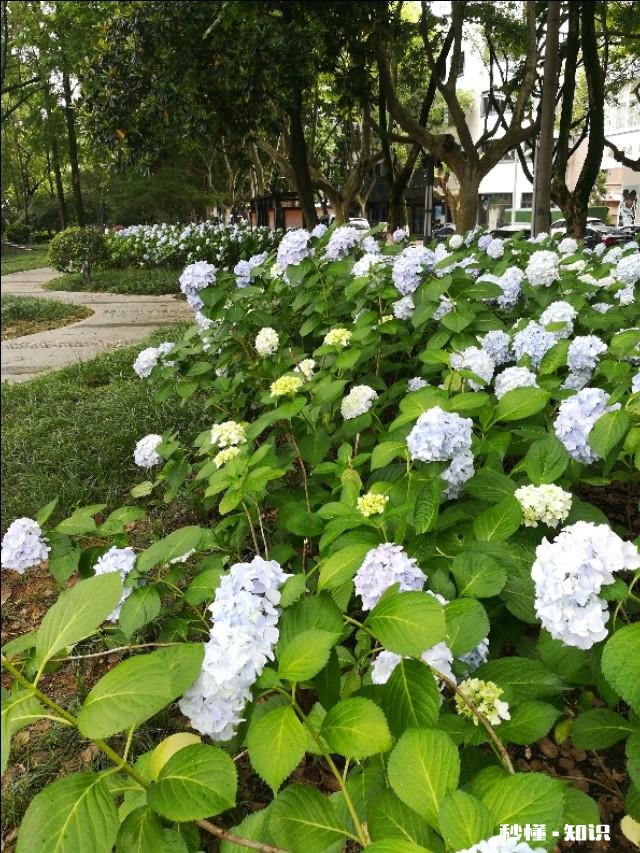 旅游，什么时候恢复