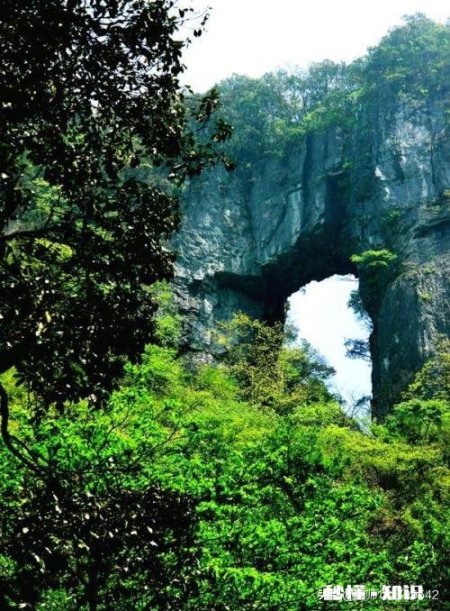 旅游，什么时候恢复