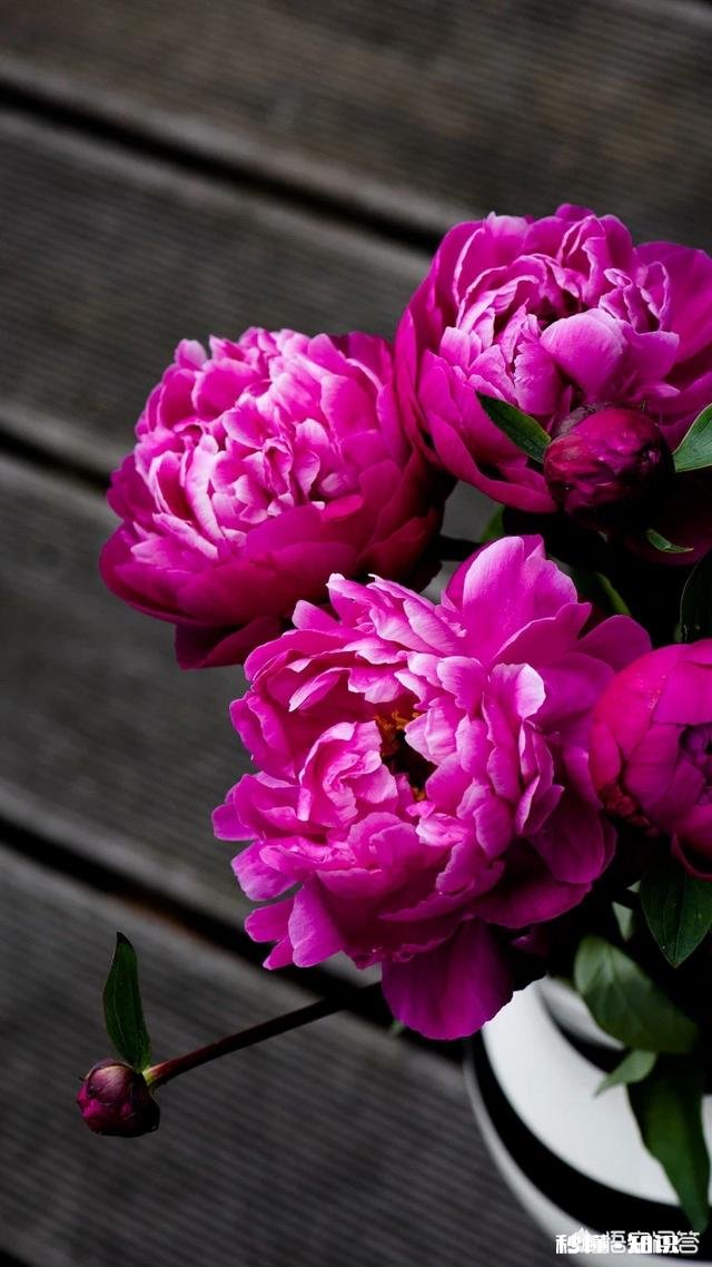 有人说人的生命不在于长短，而是中途精彩与否，真的是这样吗，你怎么看