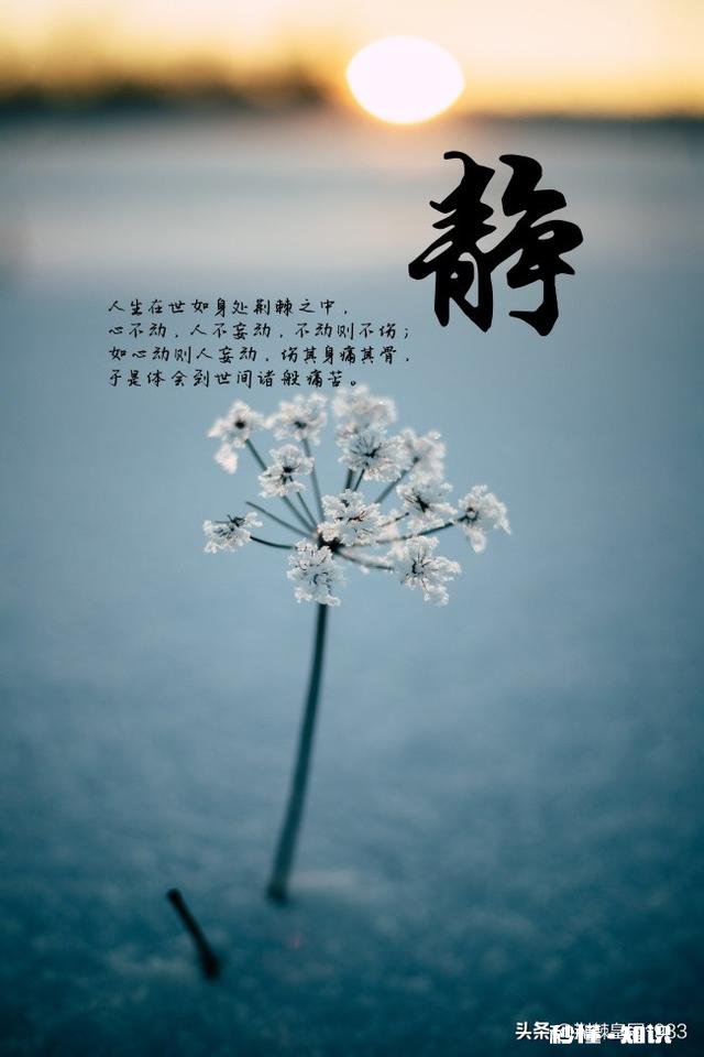 人累了可以回家，心累了可以去哪