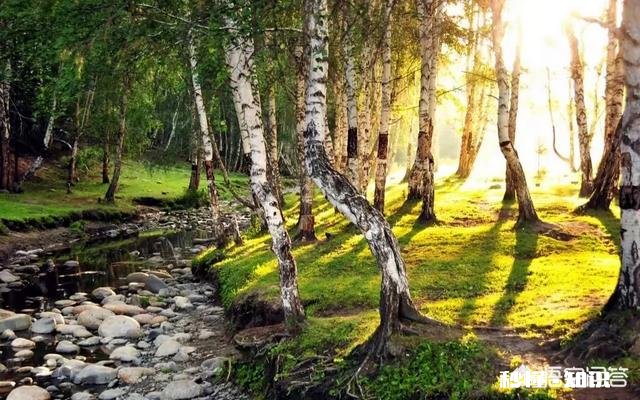 漠河现在温度怎么样有没有雪，还有什么玩的没