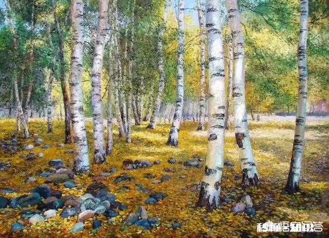 漠河现在温度怎么样有没有雪，还有什么玩的没