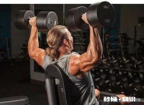 倒三角的身材是训练肩部吗