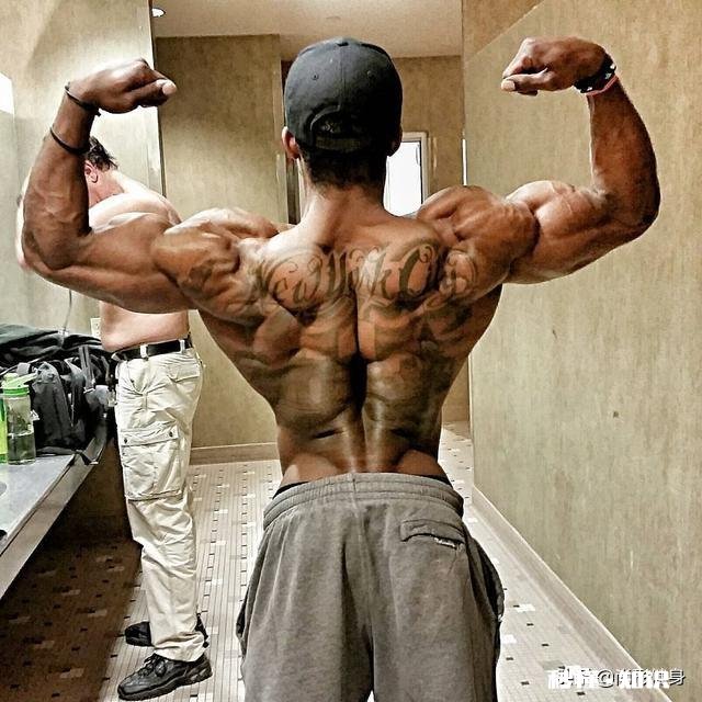 倒三角的身材是训练肩部吗