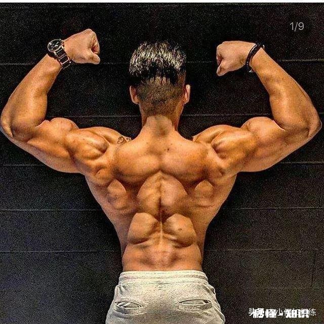 倒三角的身材是训练肩部吗