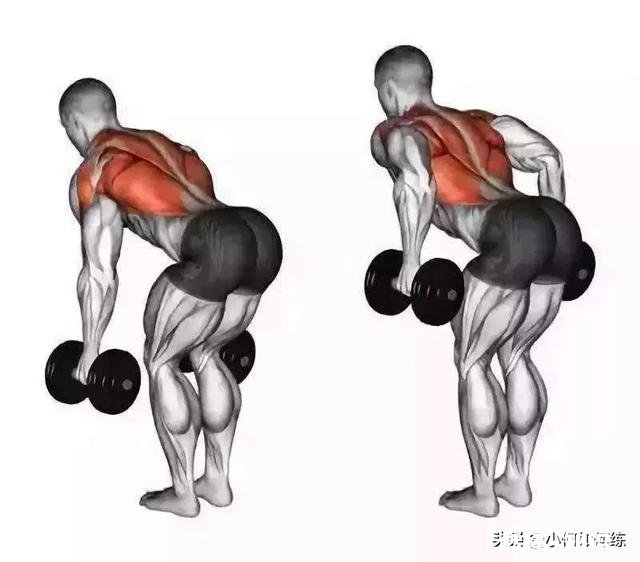 倒三角的身材是训练肩部吗