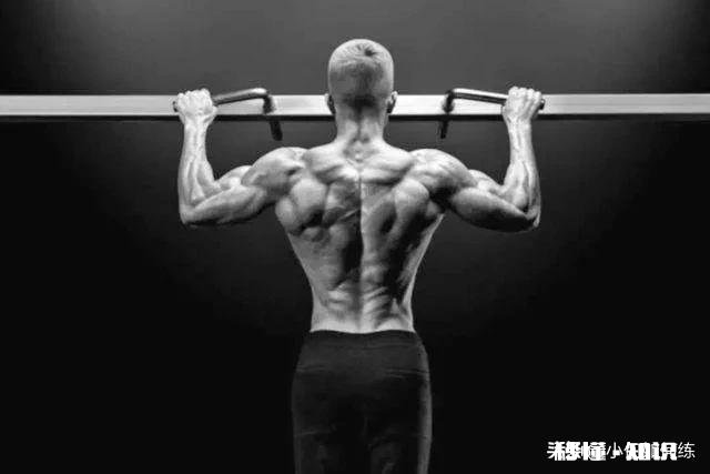 倒三角的身材是训练肩部吗