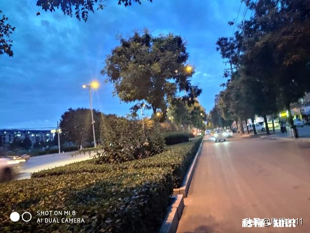 有没有让你刚开始刻骨铭心，又慢慢的无疾而终的感情