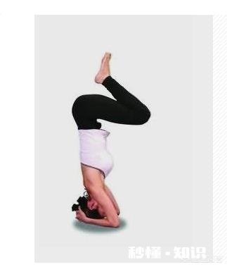 如何练习倒立