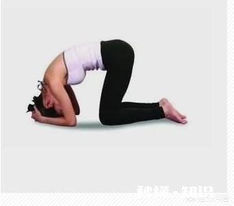 如何练习倒立