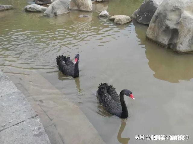 各位友位，最近合适买房吗我身边的同事朋友们都准备买