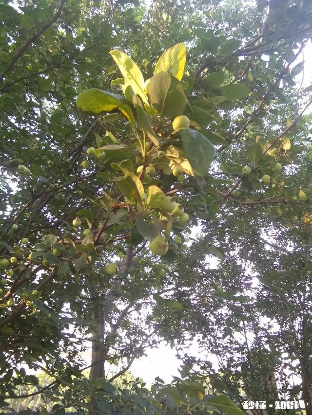 开学高二的我，五六月份遇到了一个喜欢的男生，成绩比我好，但我确实感受得到他不喜欢我，我该怎么办