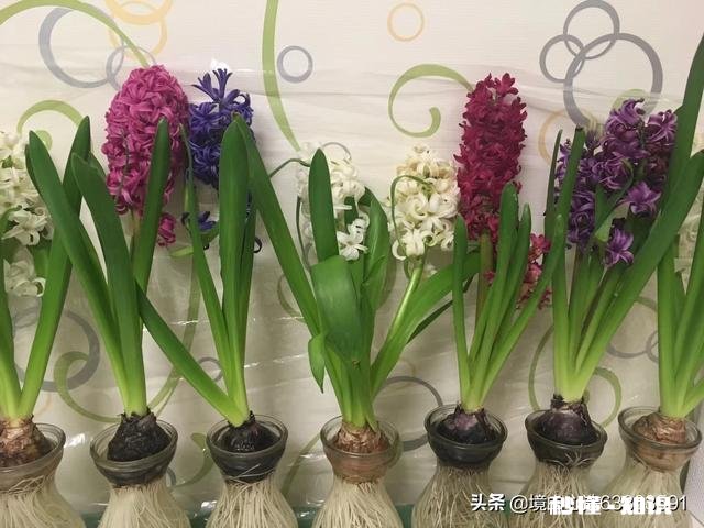 我是初二的学生，同学说我的字难看，请问我的字能练好吗