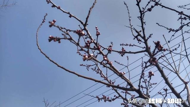 我是初二的学生，同学说我的字难看，请问我的字能练好吗