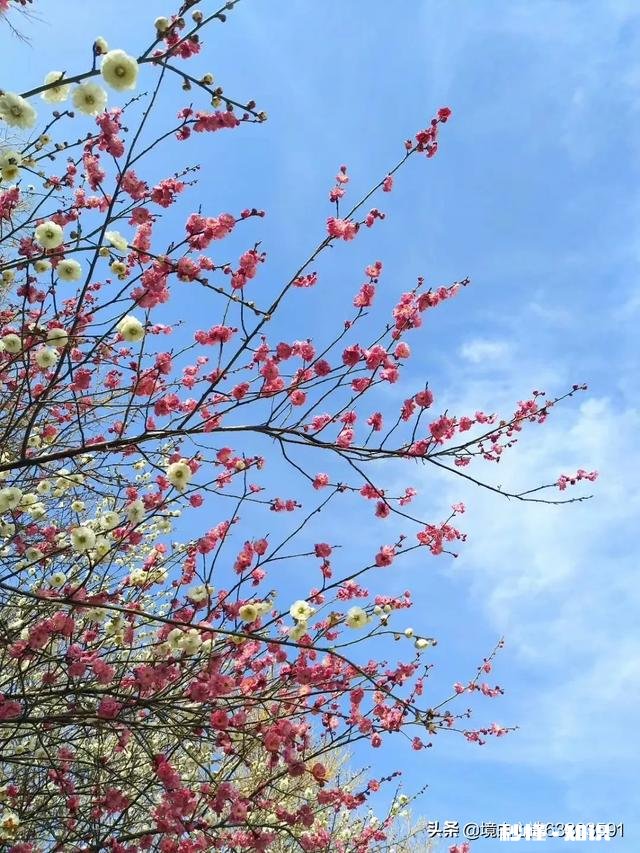 我是初二的学生，同学说我的字难看，请问我的字能练好吗