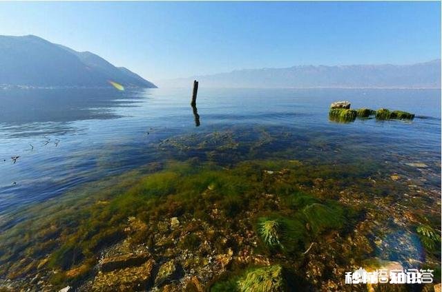 一个人穷游云南，有哪些攻略