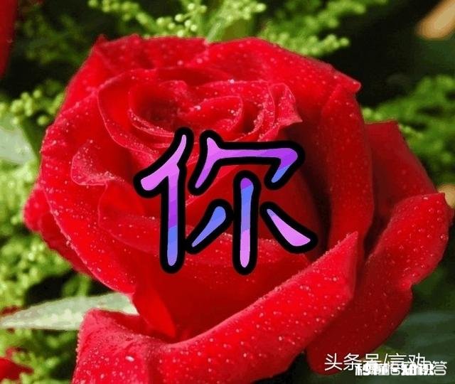 女人舍不得男人离开会表现在哪些方面