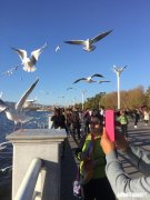 10月带爸妈从山东潍坊自驾到云南，有哪些吃住玩的攻略吗注意事项或者建议吗