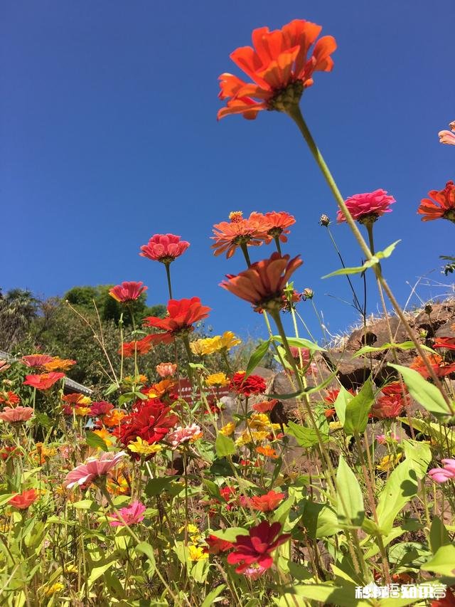 10月带爸妈从山东潍坊自驾到云南，有哪些吃住玩的攻略吗注意事项或者建议吗