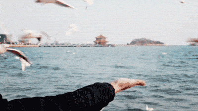 上联，锦鱼摇动清江底，下联怎么对