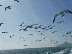 上联，锦鱼摇动清江底，下联怎么对