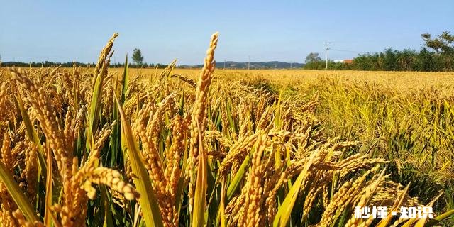 小米mix2前后摄像头的拍照效果怎么样